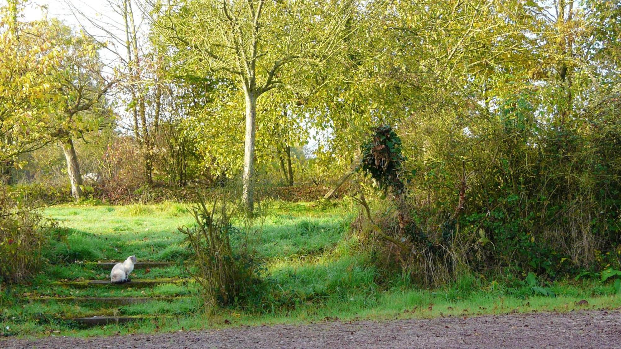 Villa En Campagne Au Locheur + Piscine Le Locheur Exterior foto